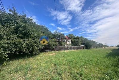 Teren intravilan de vanzare – 1.688 mp, Dumbrava Rosie - 5