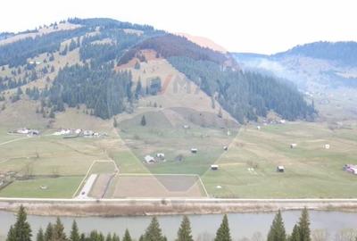 Teren Construcții intravilan de 7834 mp, în Dorna-Arini - 1