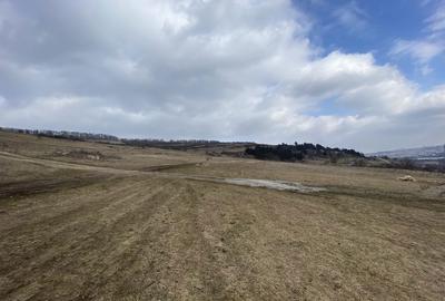 Teren de 428 mp, în Florești - 7