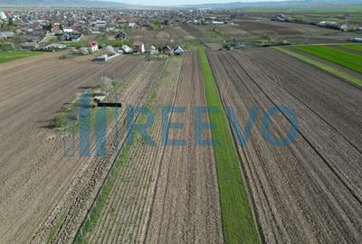 Teren de vânzare, Com. Nicolae Bălcescu, Jud. Bacău - 12