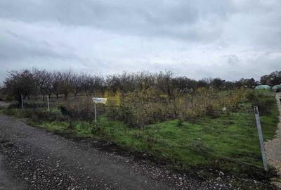 Spațiu comercial, în Adunații-Copăceni - 2