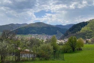 Teren de vanzare cu gaz la poarta in Gura Raului - 7
