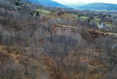 Casa / Vila cu 7 camere de vanzare in zona Bran-Tohanita - 34