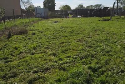 Teren Construcții intravilan de 1000 mp, în Becicherecu Mic
