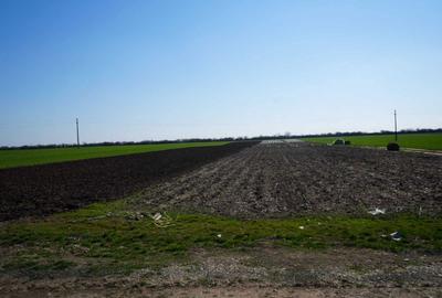 Teren de 2500 mp, în Zădăreni - 1