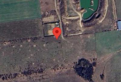 Teren de 880 mp, în Chișirid - 3