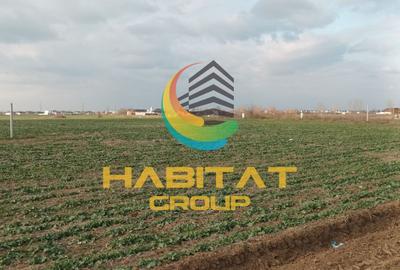 Teren Construcții intravilan de 521 mp, în Berceni