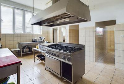 Pensiune in Arad (Vladimirescu) pe DN7 - 15