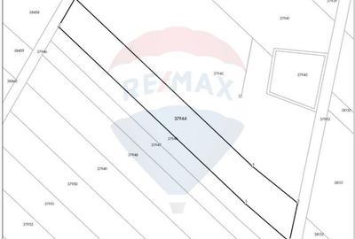 Teren Construcții intravilan de 7400 mp, în Săbăreni - 4