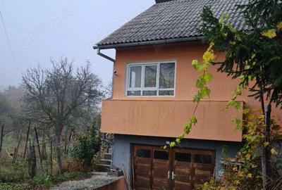 Proprietate ( casa + teren ) de vanzare. - 2