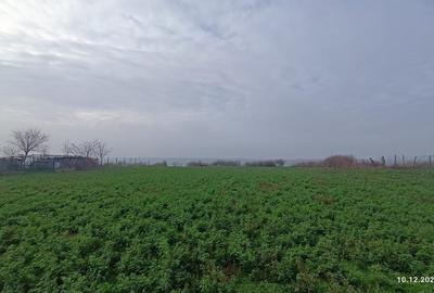 Teren Construcții intravilan de 3802 mp, în Dăeni - 2