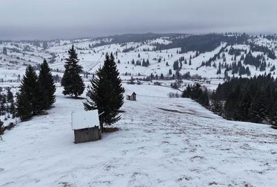 Spațiu comercial, în Breaza - 6