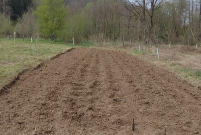 Spațiu comercial, în Boz - 2