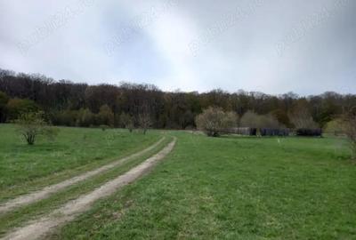 Vand teren Dragomirna 3000 mp langa padure - 5