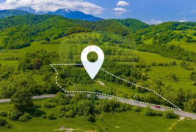Teren Construcții intravilan de 10000 mp, în Glăjărie - 1