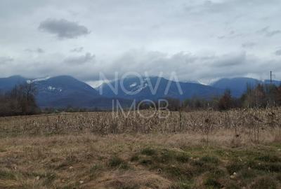 Teren agricol extravilan de 2100 mp, în Arpașu de Sus - 5