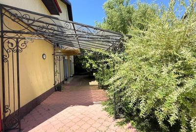 Vila cu piscina Iancu Nicolae - 10