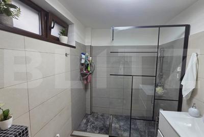 Apartament cu 3 camere decomandat, mobilat în Calea Severinului - 14