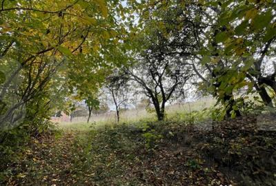 Teren de 702 mp, în Bună Ziua