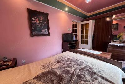 Apartament cu 2 camere semidecomandat în Gojdu - 12