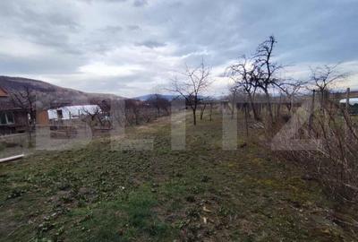 Casa individuala, 5 camere, 350 mp, zona Sard - 4