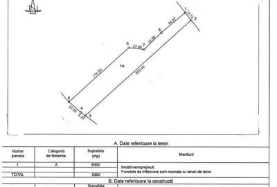 Teren intravilan cu deschidere la Drum European Ovidiu - 3