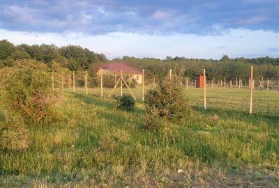 Teren intravilan de 825 mp, în Gepiu - 2