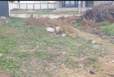 Teren Construcții intravilan de 500 mp, în Malu Mare - 2