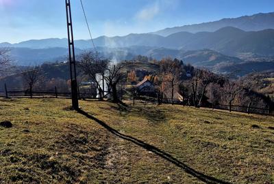 Teren de vânzare în sat Măgura/ Brasov– loc pentru familie, liniște și suflet - 7