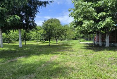 Proprietar,vand casa cu teren 2100mp,la 30 km de Pite?ti - 7