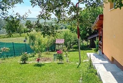 Casă individuală cu 4 camere cu Teren 1997 Mp în Mica - 14