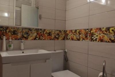 Decebal 3 Camere Decomandat Pet Friendly - 13