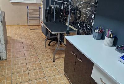Spațiu comercial, de 30 mp, în Plantelor - 4