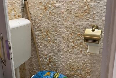 Garsonieră decomandată în Romană - 4