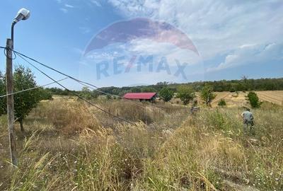 Teren cu hala, Bucsani, Crevedia / DN 61 (A1, A0) 40 Km de Bucuresti - 4