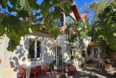 Casa curte- Metrou Pieptanari - 11