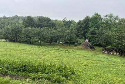 Casă cu 3 camere în Câlnic - 1