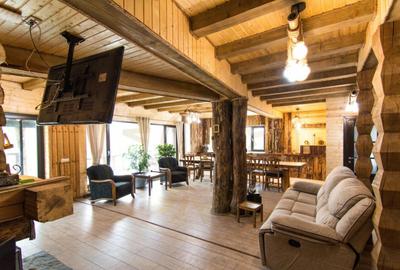 Casa de vacanta sau afacere la cheie in Loc. Nucsoara, jud. - 2