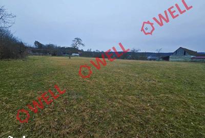 Teren de 5296 mp, în Hoghiz - 3