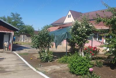 Casă cu 6 camere în Independența - 8