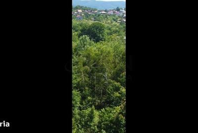 Teren de 20698 mp, în Băiculești - 3