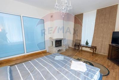 Cabana / casa de vanzare in Baisoara, 285 MP ! Piscina! C... - 14