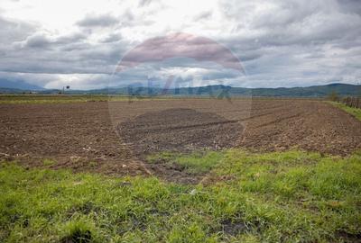 COMISION 0% | TEREN EXTRAVILAN | CRISTIAN | AUTOSTRADA A3 | GHIMBAV - 7