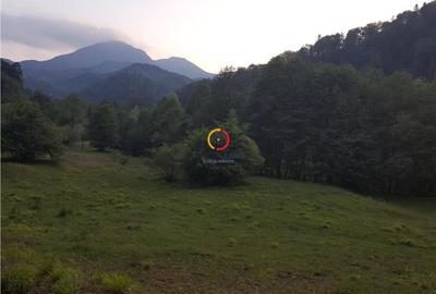 Teren de 6900 mp, în Central