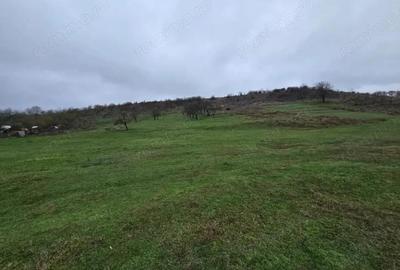 Teren 100.000 mp, Recea-Albota - 9