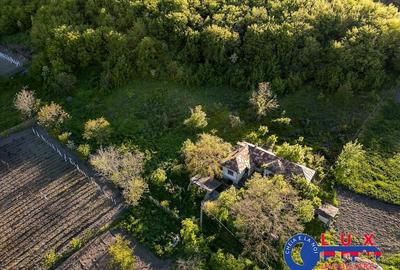 Teren de 2859 mp, în Visterna - 4