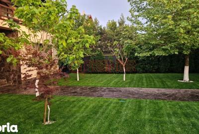 Casă cu 5 camere cu Teren 4000 Mp în Central - 2