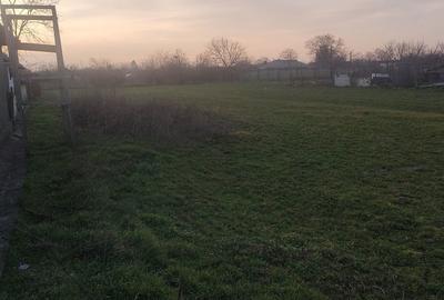 Casă cu 4 camere în Viișoara - 2