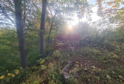 Teren de 3092 mp, în Telega - 18