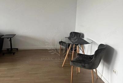 Apartament cu 2 camere decomandat, mobilat în Albert - 8